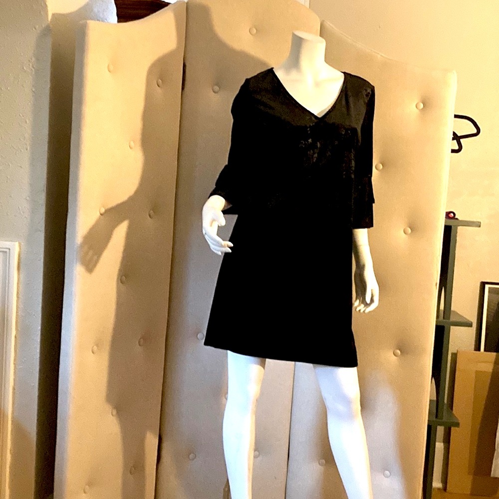 Vanity Room Velvet Dress